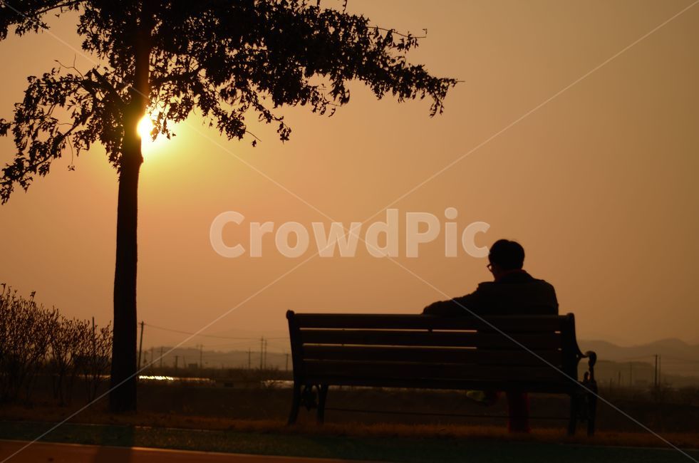 가을,일몰,벤치,쓸쓸함,남자,뒷모습,실루엣,그림자,silhouette,shadow