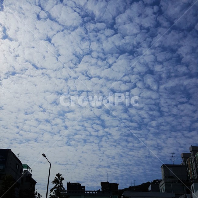 하늘,층운형,구름,자연,cloud,nature,sky,자연,풍경,nature,landscape