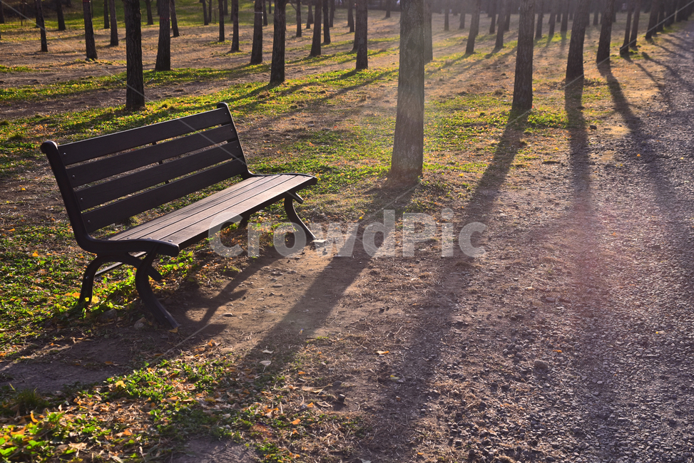 가을,가을배경,나무의자,쉼터,휴식,빈의자,그림자,늦은오후,명암,furniture,가구,ground,바닥,bench,벤치,나무그림자,긴그림자,인적없는,적막,빈자리,힐링,healing,background,배경,바탕,백그라운드,자연,풍경,nature,landscape