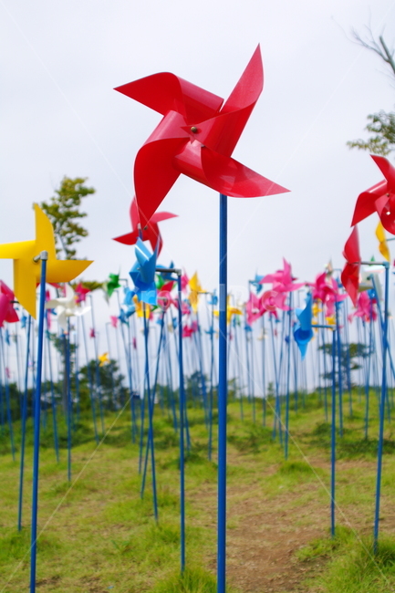 임진각,임진각평화누리공원,파주,한국,paper,종이,origami,종이접기,art,미술,바람개비