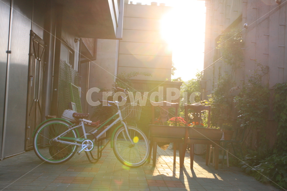 공원,자전거,빛,풍경,publicpark,bicycle,light,scenery,보케,건축물,건물외관,exterior,building,structure,architecture,construction