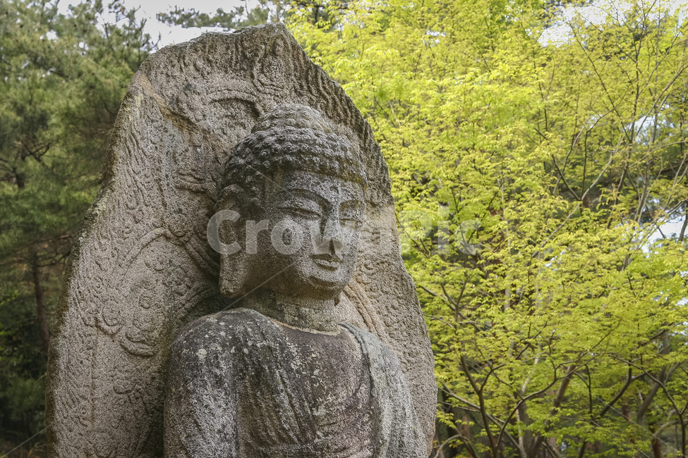 부처,석불,석불좌상,석가여래상,보리사,경주,남산,보물,조각상,동상,석상,조형물,statue,bronze statue,stone statue,종교,신앙,religion,belief,faith