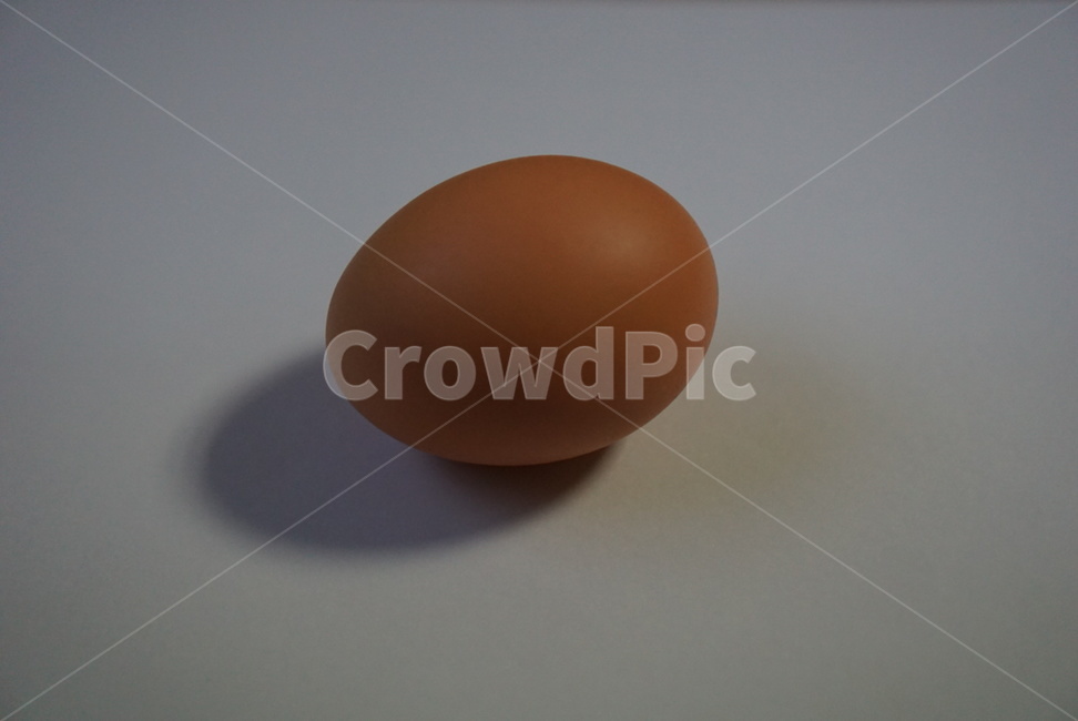 계란,달걀,알,생란,에그,음식,식재료,요리,food,cook,meal,dishes,food reserves