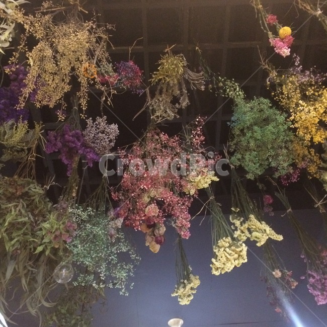 드라이플라워,까페,감성,감성사진,꽃,꽃,flower