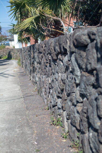 돌담,제주돌담,담벼락,돌담시공,돌,돌담집,돌담길,제주도,제주,제주도,jeju,jeju island,wall,벽,stone wall,slate,슬레이트