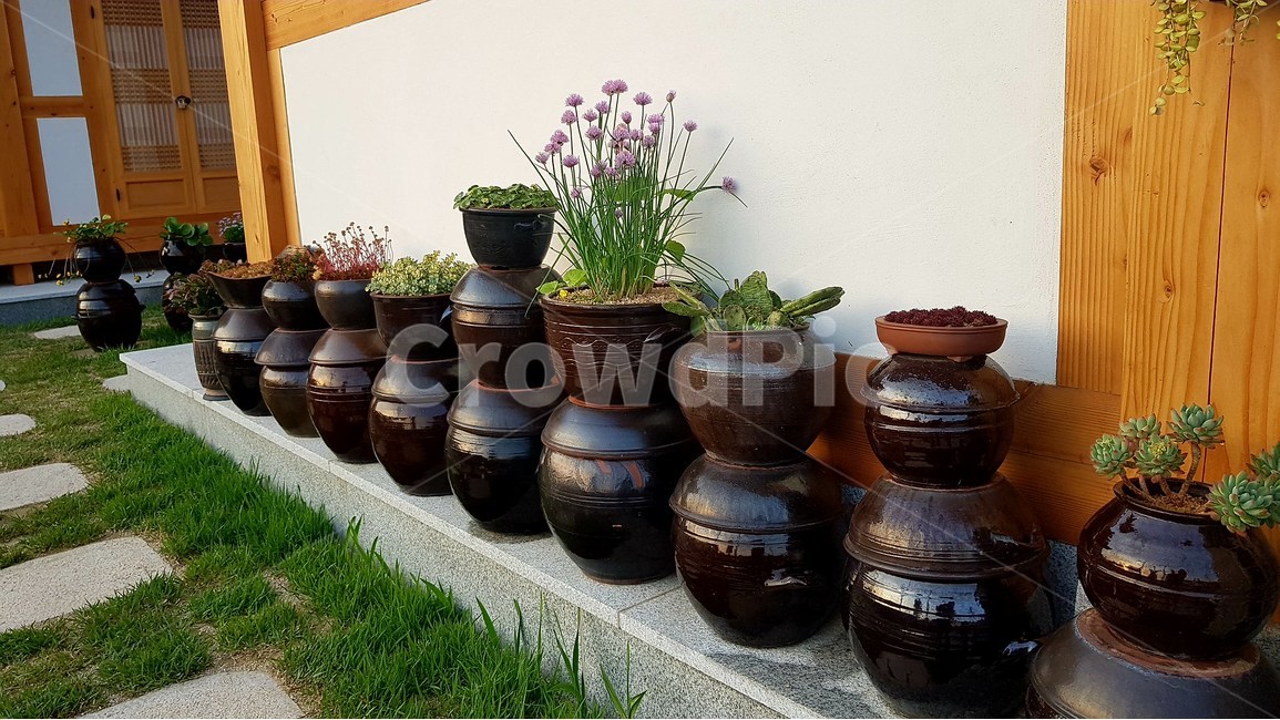 항아리,토기,그릇,화분,마당,잔디,앞마당,정원,한국전통,한국문화,korean traditional,korean culture,사물,물건,오브젝트,thing,object,matter