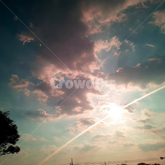 light,빛,flare,플레어,자연,nature,outdoors,햇빛,sunlight