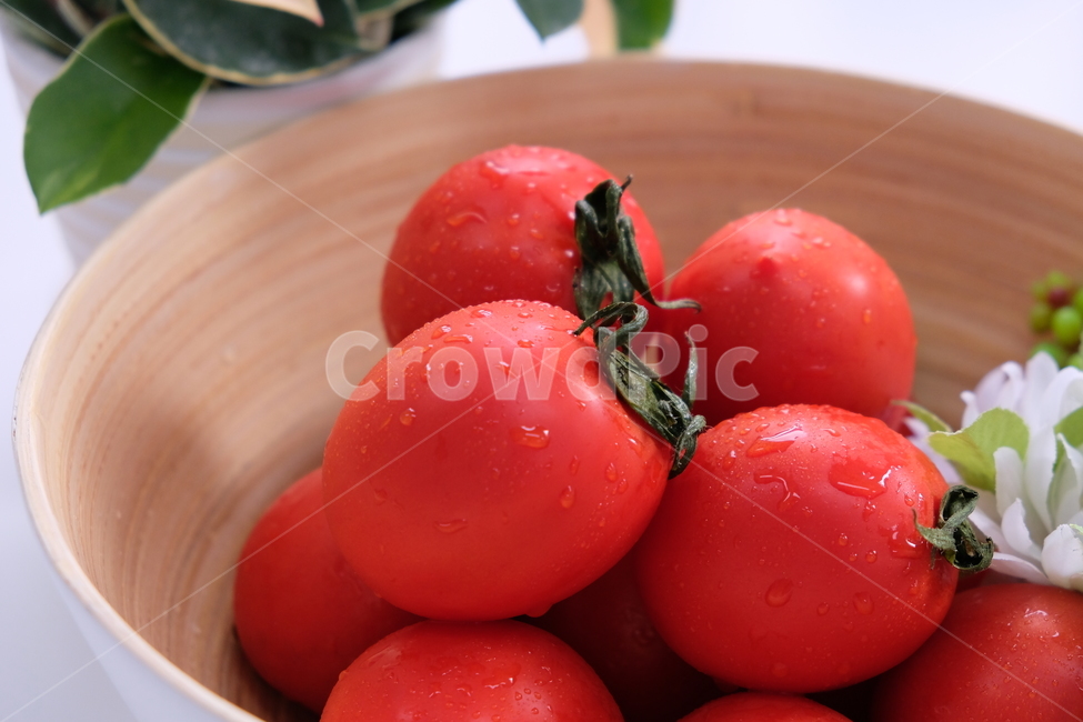 Intense,fruit,intensetomato,tomato,vegetable,food,eggtomato,Intense Tomato,fresh,Egg Tomato,intense