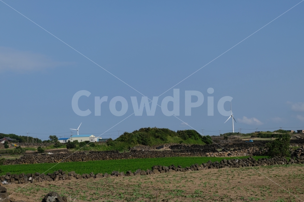 제주도풍경,제주도마을,밭,시골,풍력,풍력발전,돌담,제주도,하늘,마을,시골마을,풍경,제주도밭,제주도풍력,제주도돌담,가을,가을풍경,자연,자연,풍경,nature,landscape,제주도,jeju,jeju island,engine,엔진,machine,기계,motor,모터
