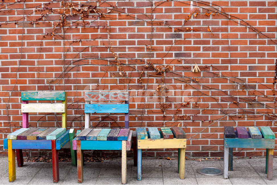 의자,알록달록,화려한색,벽돌,벽,넝쿨,furniture,가구