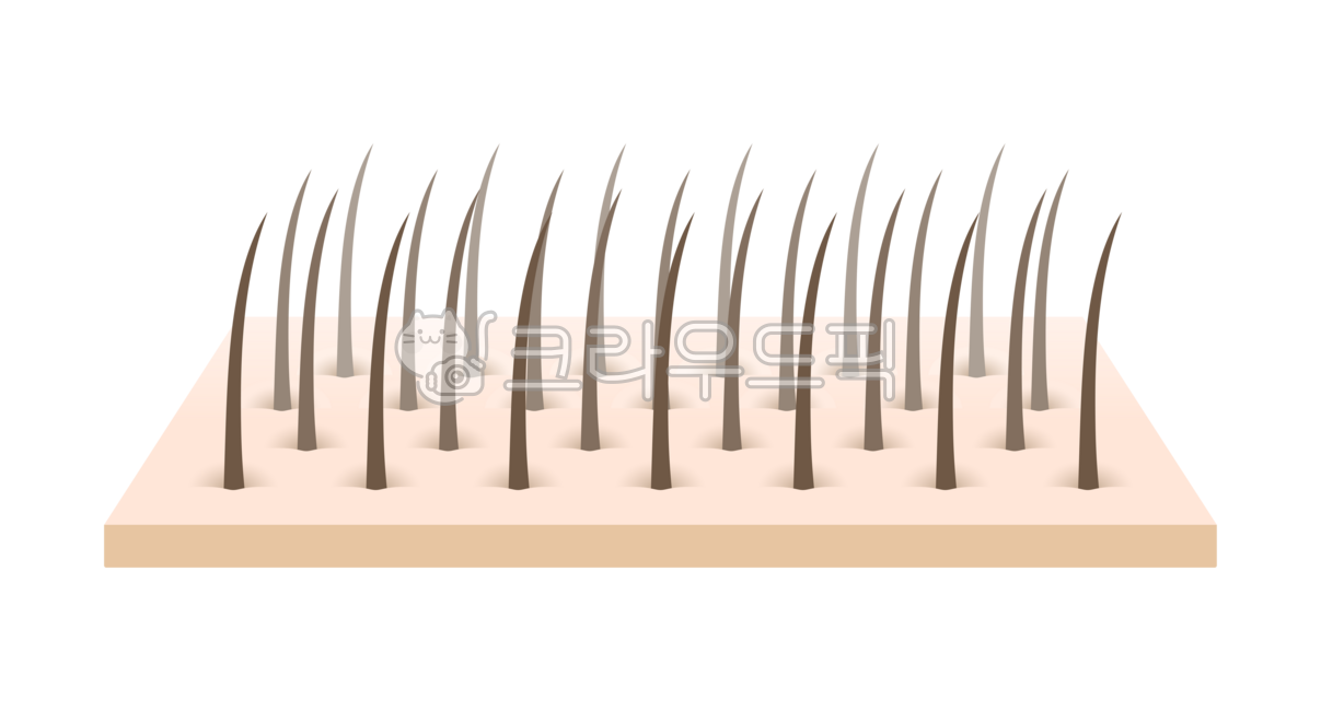 모발,머리카락,표피,두피,피부,헤어,3d,입체,단면,레이어,머리,확대,털,빽빽한,살,표면,해부도,구조,부위,세부도,일러스트,일러스트레이션