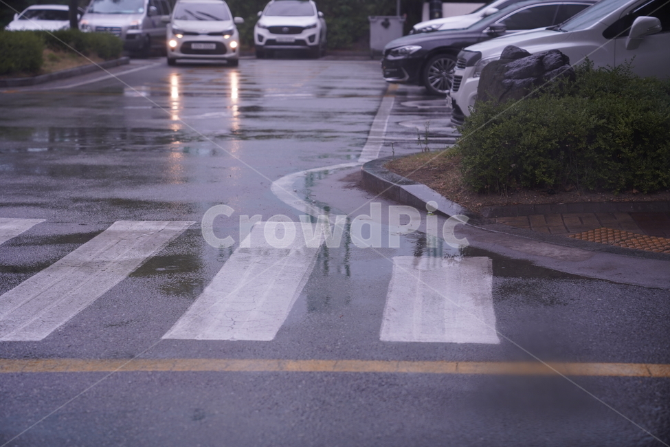 비오는날,비,날씨,장마,소나기,비,비오는날,rain,rainy