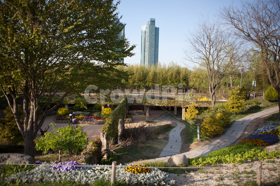 plant,식물,tree,나무,봄,여름,공원,숲,꽃,봄꽃,자연,풍경,빌딩,도시공원,서울숲