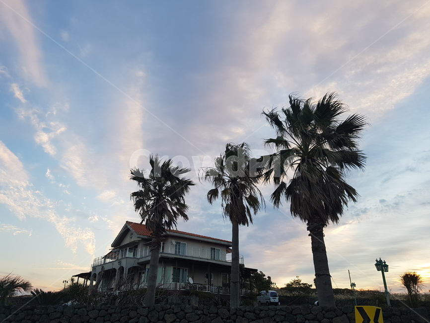 제주도,펀션,야자수,가을하늘,흰구름,노을,언덕위의집,자연,자연,풍경,nature,landscape,건축물,건물외관,exterior,building,structure,architecture,construction