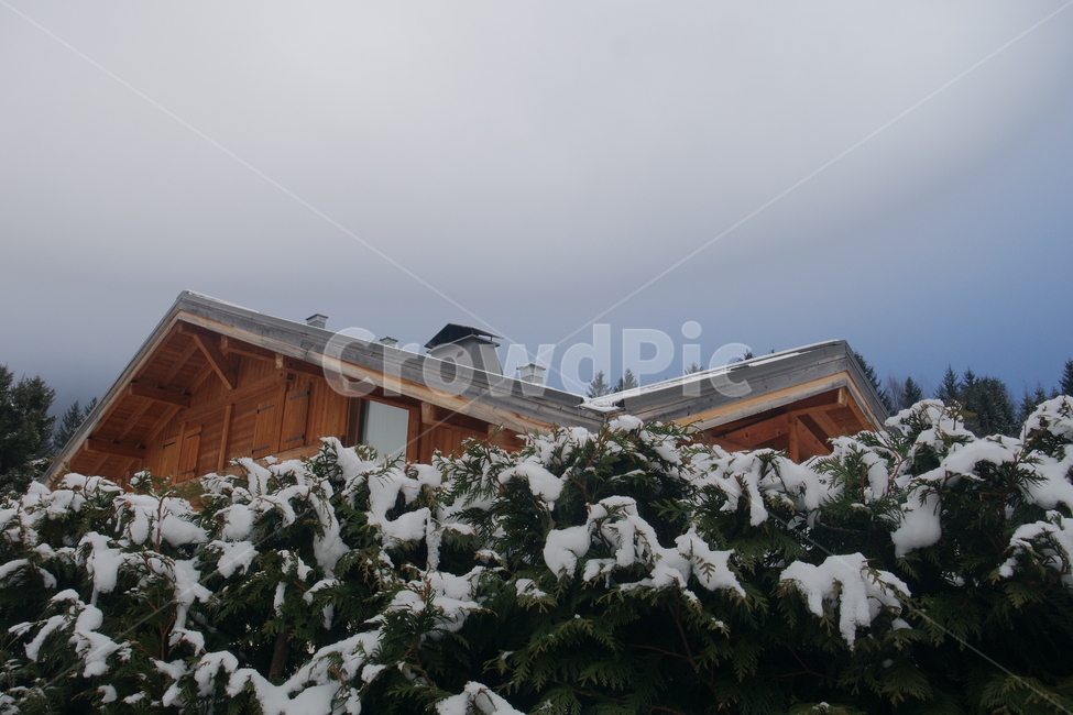 outdoors,옥외,nature,자연,snow,눈