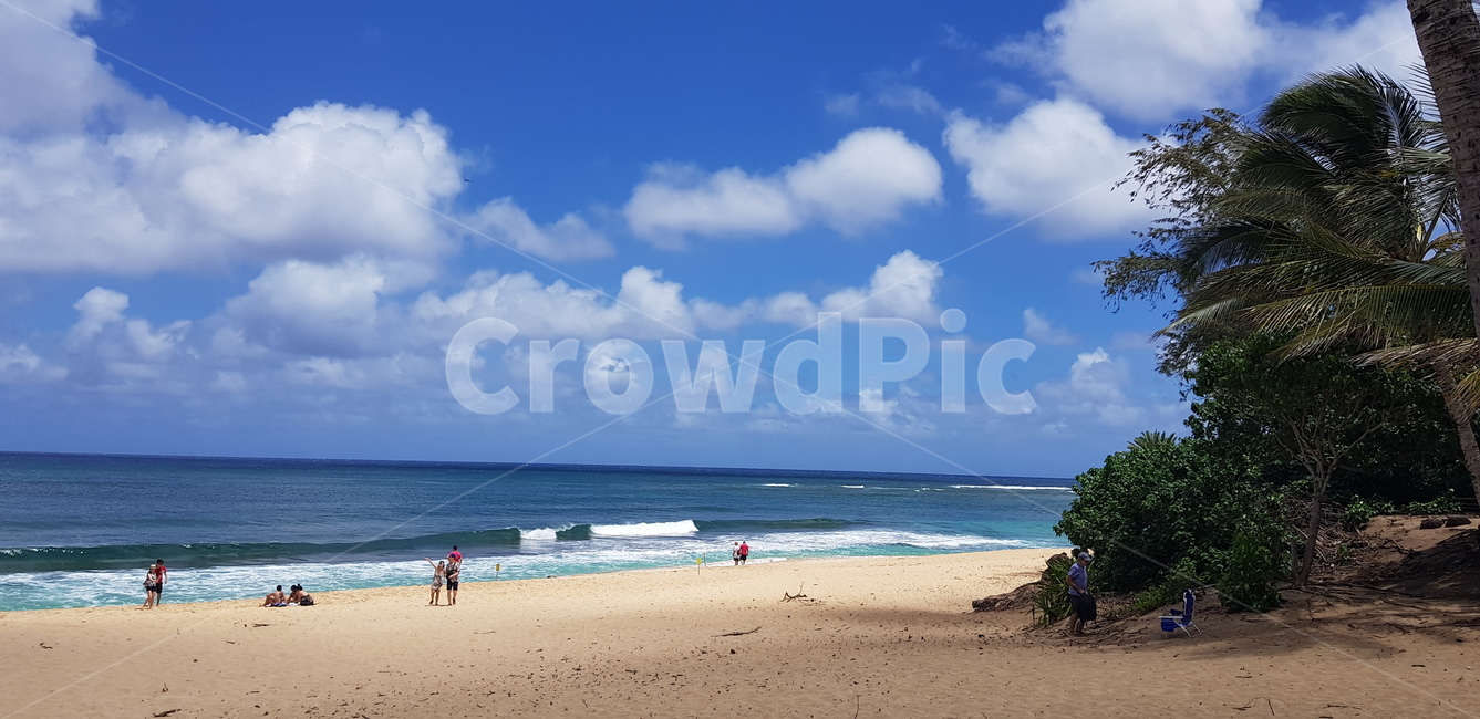 human,인간,person,사람,water,물,sea,바다,nature,자연,ocean,대양,outdoors,옥외,shoreline,해안선,summer,여름,hawaii,honolulu,하와이,호놀룰루,여름,계절,summer,season,자연,풍경,nature,landscape,해변,바다,beach,sea