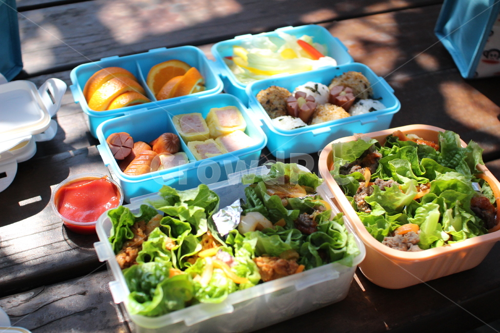 도시락,쌈밥,주먹밥,소세지,계란말이,소풍,봄소풍,음식,식재료,요리,food,cook,meal,dishes,food reserves