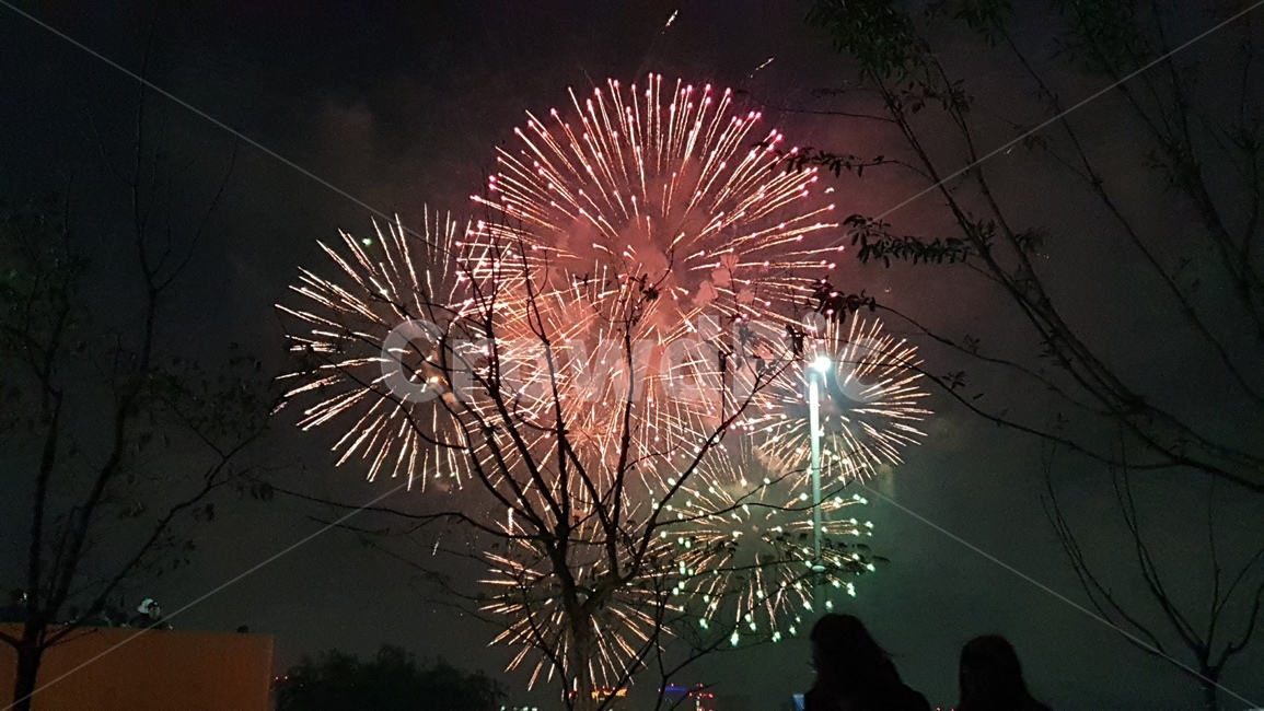 불꽃,축제,여의도,나무,밤,자연,nature,옥외,night,fireworks,flare,light,빛,플레어,축제,행사,festival,carnival,event
