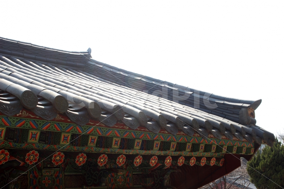 기와,기와지붕,절,전통,오색,건물,건축,햇빛,햇살,야외,단청,봉은사,건축물,건물외관,exterior,building,structure,architecture,construction,한국전통,한국문화,korean traditional,korean culture