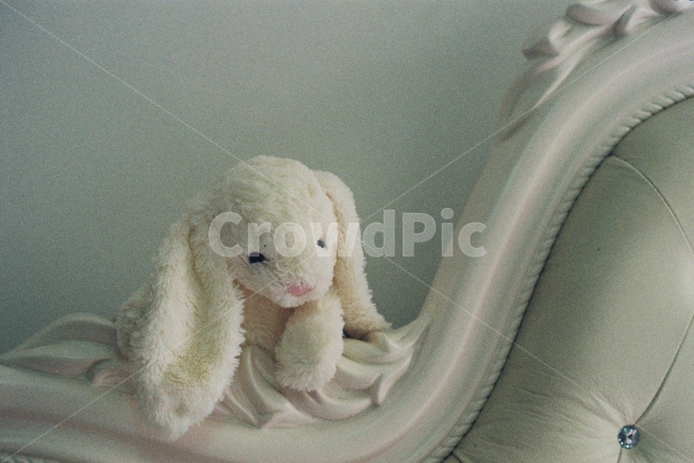 토끼,토끼인형,인형,화이트,분위기,감성,sensible,feeling,사물,물건,오브젝트,thing,object,matter