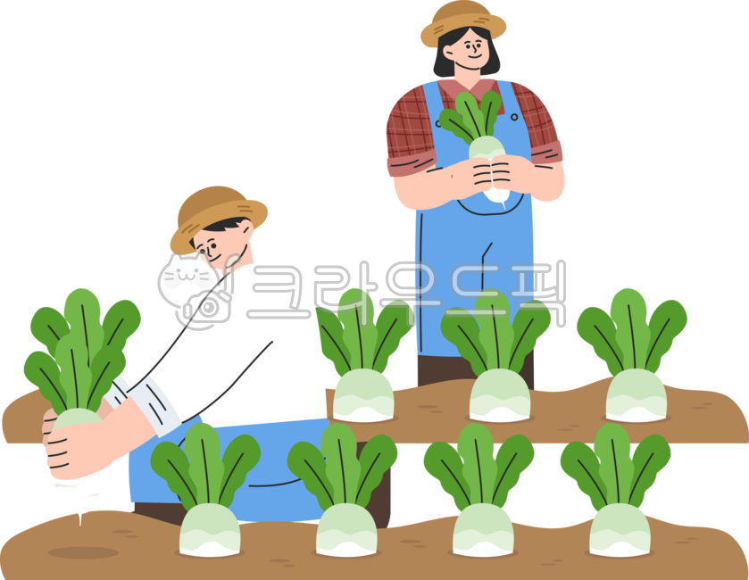 농사,무우농사일러스트,농촌생활,농촌활동,농사일러스트,농활,사과,무우,수확