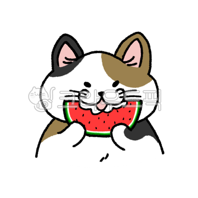Summer,fruit,cat,watermelon,cat eating watermelon,cat eating,tricolor cat