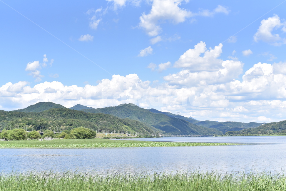 나무,하늘,구름,힐링,경치,자연,풍경,nature,landscape,water,물,outdoors,옥외