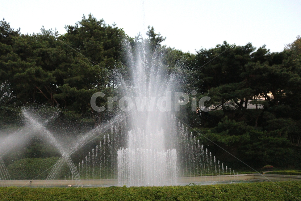 분수,분수대,물,공원,예술의전당,나무,소나무,자연,풍경,nature,landscape,water,fountain