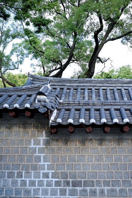 한국,한국적,기와,돌담길,벽,돌담,여행,trip,travel,travelling,배경,배경사진,감성사진,평화로운,분위기,차분한,차분함,평화로움,풍경,풍경사진,scene,ambience,atmosphere,calm,peaceful,tranquil,still,background,view,landscape,sceneryKorea,Korean,street,road,way,scenery,Korea,wall,한국전통,한국문화,korean traditional,korean culture