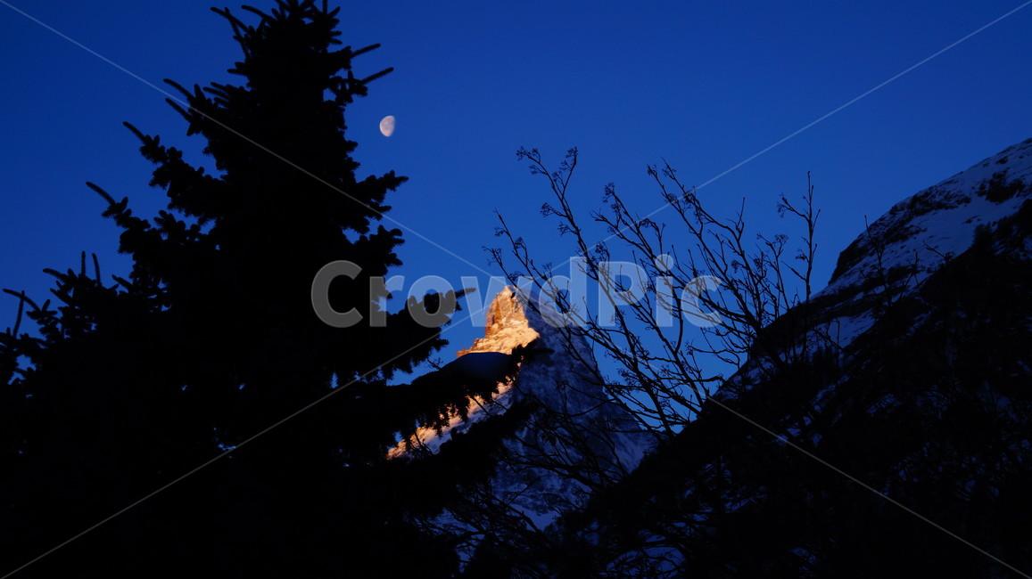 스위스,일출,나무,산,마터호른,야경,밤,풍경,nightscape,night,landscape,식물,자연,plants,nature,나무,trees,wood,plant,leaf,잎,silhouette,실루엣