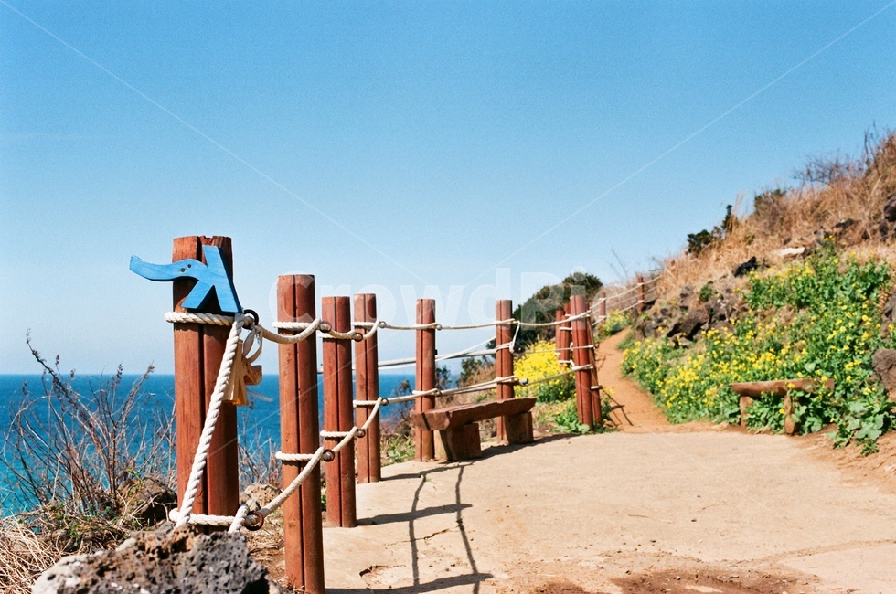제주,제주풍경,필름사진,filmphotography,filmphoto,제주도,올레길,함덕,서우봉,둘레길,jejuisland,jejudo,ollegil,hamdeokseoubong,seoubong
