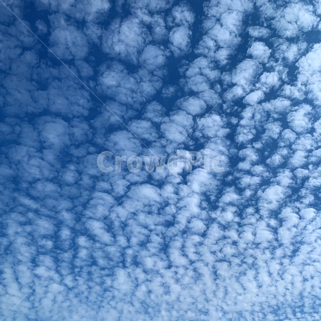 자연,옥외,하늘,푸른하늘,구름,nature,outdoors,sky,azuresky,cloud