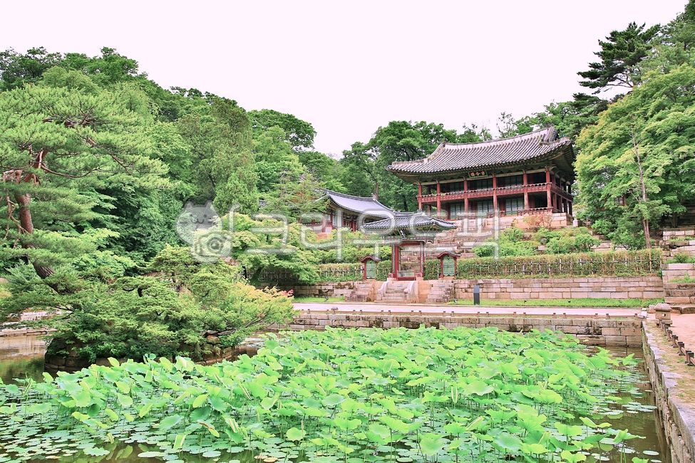 Palace,nature,world cultural heritage,Korean meaning,building,historical architecture,Cultural Heritage,outdoors,Juhamru,Changdeokgung Palace,UNESCO World Heritage Site,treasure,garden,Dancheong,architecture