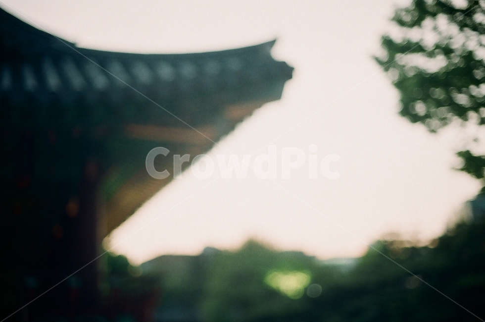 아웃포커싱,outoffocus,한국,한옥,korea,korean,저녁,twilight,dusk,아웃포커스,노을