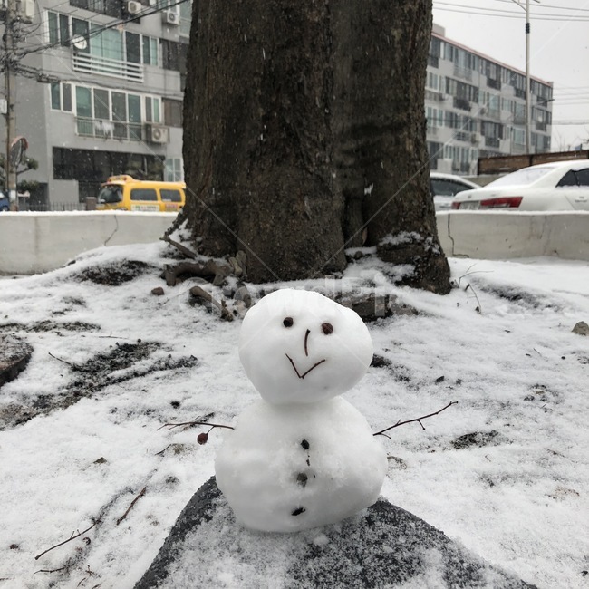 겨울,눈,winter,snow,눈사람,자연,겨울,계절,winter,season