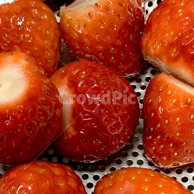 딸기,strawberry,food,음식,plant,식물,fruit,과일