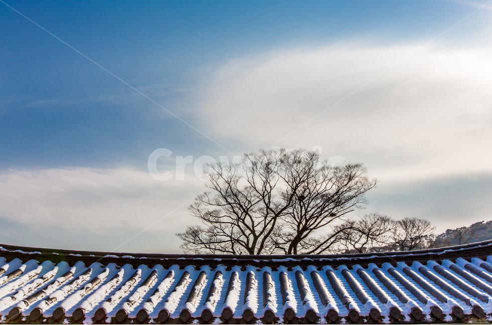 기와,선,건축,전통,문화유산,겨울,계절,winter,season,한국전통,한국문화,korean traditional,korean culture,건축물,건물외관,exterior,building,structure,architecture,construction