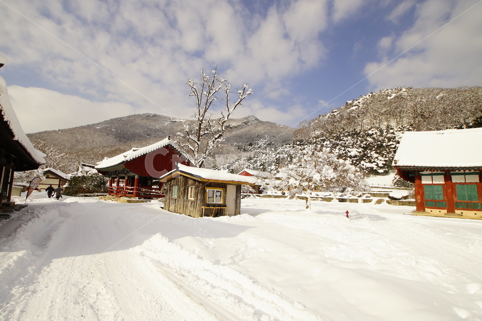 선운사,고창,설경,사찰,풍경,겨울,계절,winter,season,한국전통,한국문화,korean traditional,korean culture,건축물,건물외관,exterior,building,structure,architecture,construction