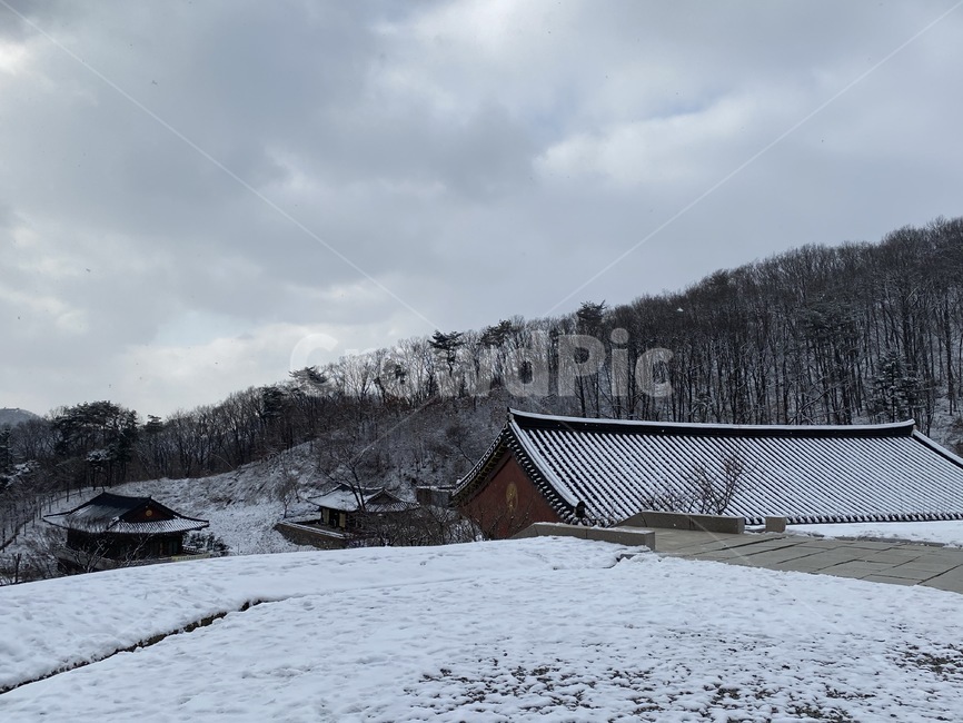 nature,자연,outdoors,옥외,building,건물,눈,기와,절