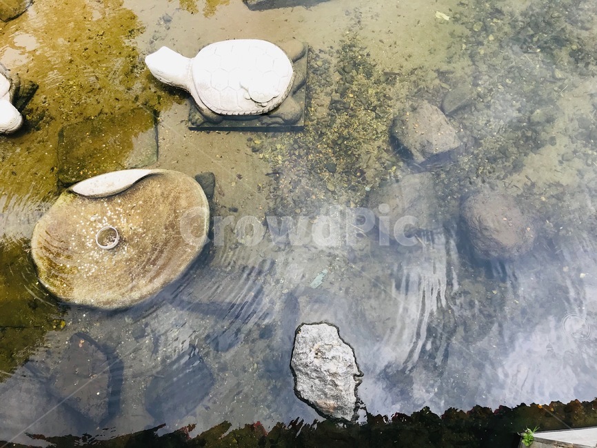 물풍경,계곡,물의정원,물결,동전,편안함