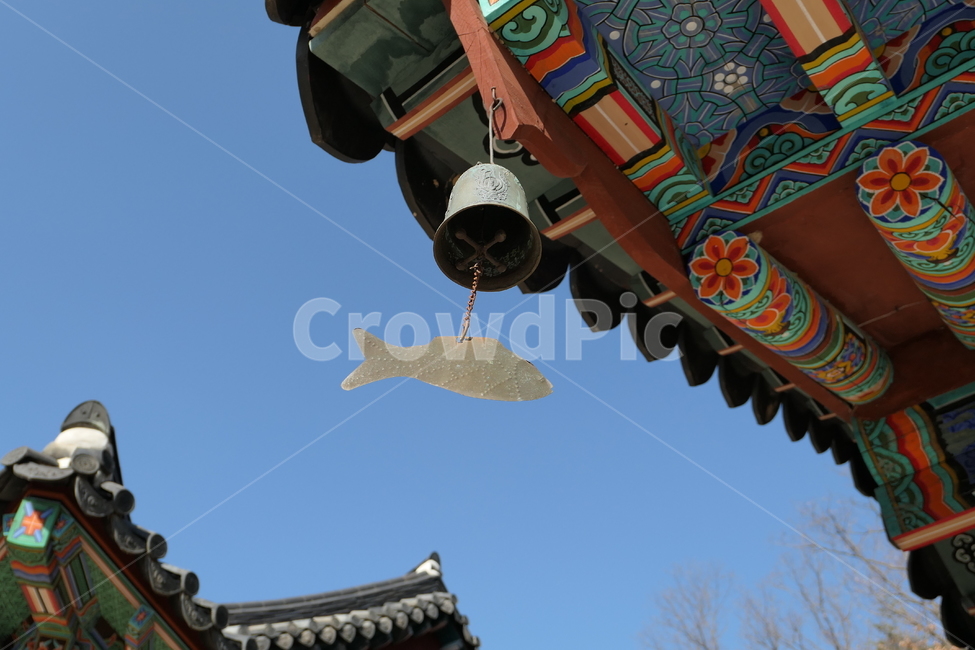 춘천,사찰,청평사,절,소양댐