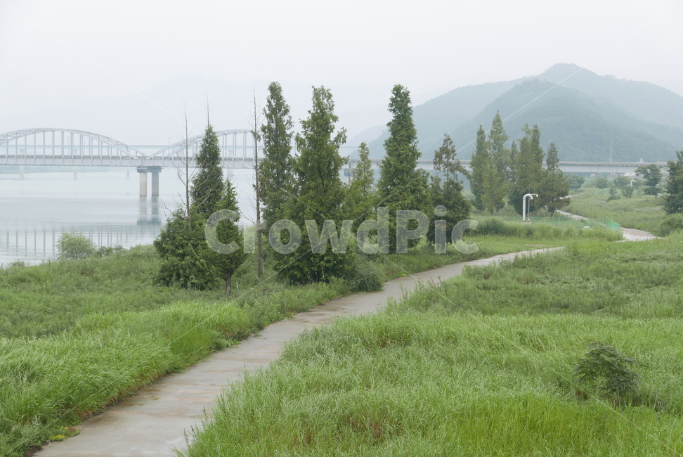 식물,초원,나무,공원,길,plant,tree,way,자연,풍경,nature,landscape,fir,전나무