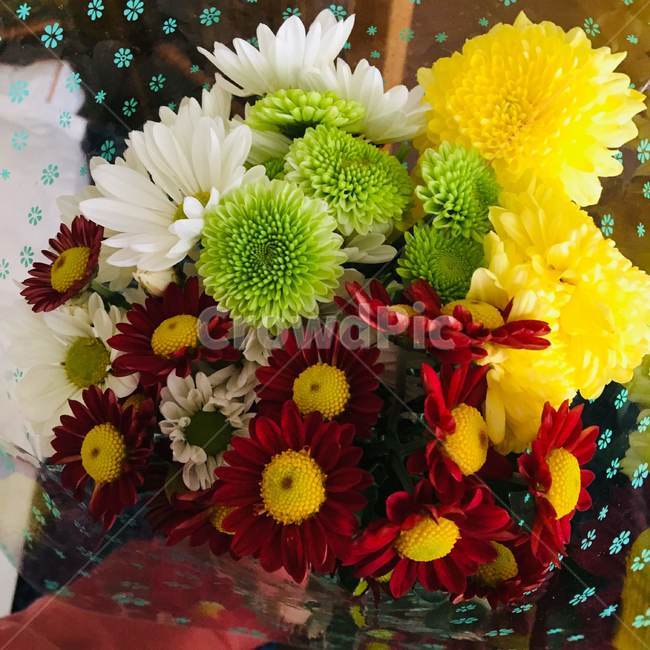 plant,식물,blossom,꽃부케,flowerbouquet,flowerarrangement,꽃꽂이,flower,꽃,노란
