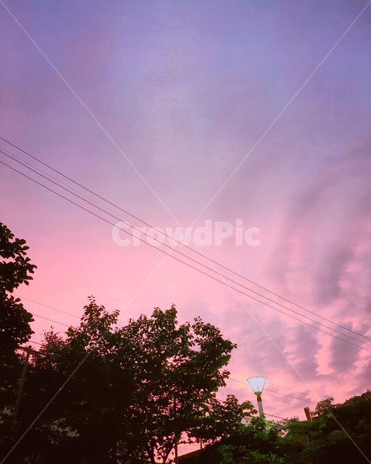 분홍하늘,pink,purple,자연,노을,풍경,sunset