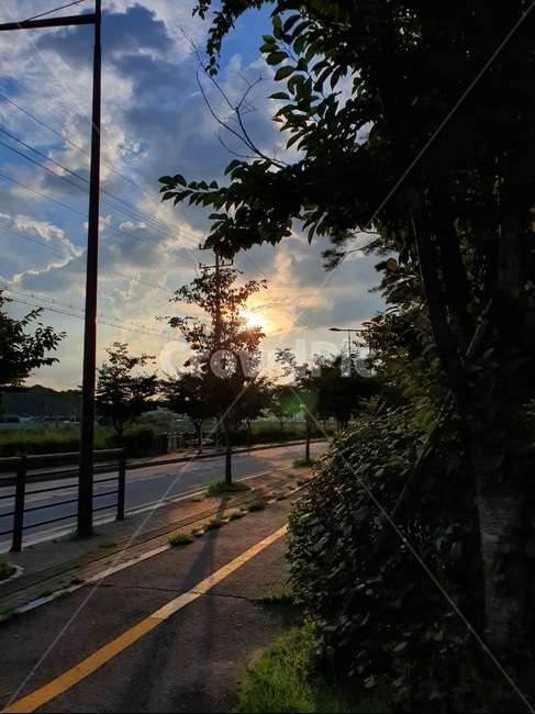 하늘,맑음,구름,태양,파란색,해,sunny,cloud,blue,sky,나무,풀,초록