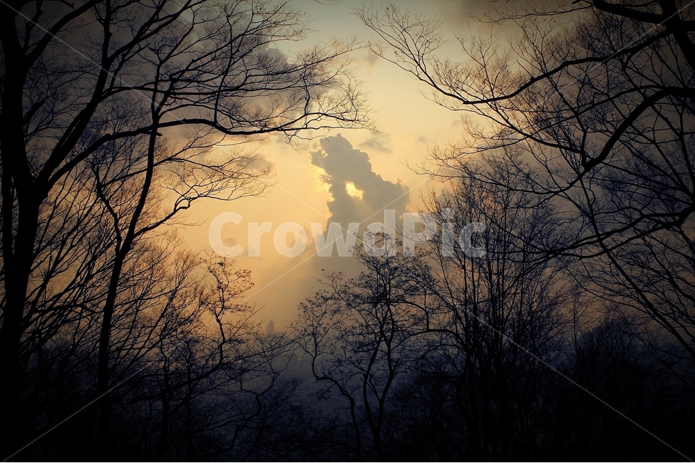 하늘,구름,감성,저녁,노을,자연,풍경,nature,landscape,weather,날씨,outdoors,옥외