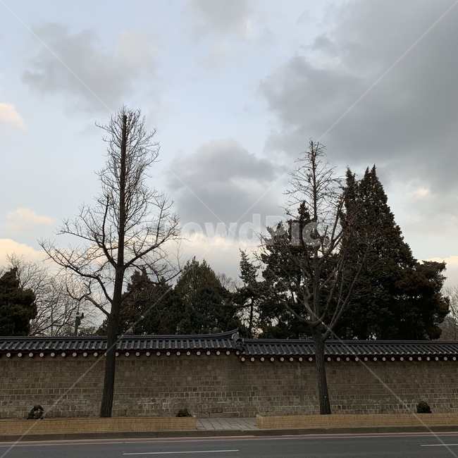 나무,겨울,돌담,하늘,tree,winter,쓸쓸,돌,길,길거리,street