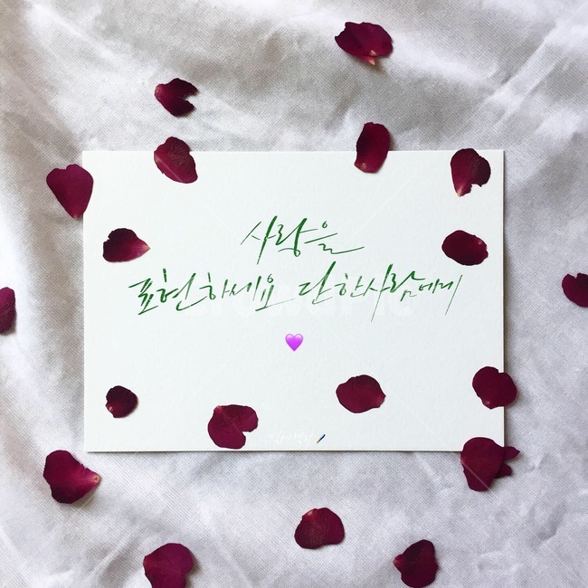 사랑,사랑글귀,장미,캘리그라피,사랑고백