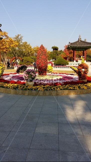 flagstone,판석,human,인간,person,사람