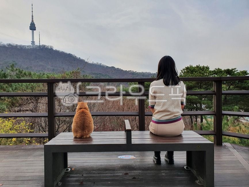 person,cat,back,cat back view,human